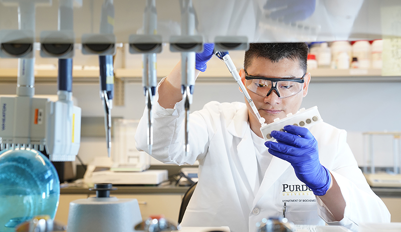 "New liquid biopsy method offers potential for noninvasive Parkinson’s disease testing; Marco Hadisurya, a doctoral student in biochemistry at Purdue, is a co-author of a new paper in the Communications Medicine journal that describes a method that can screen urine samples for proteins linked to Parkinson’s disease. (Purdue University Agricultural Communications photo/Tom Cambpell)"