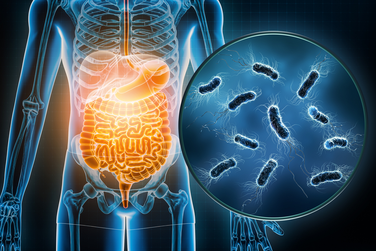 Role of Nutrient May Reveal Dietary Target in Fight Against Microbial Infections