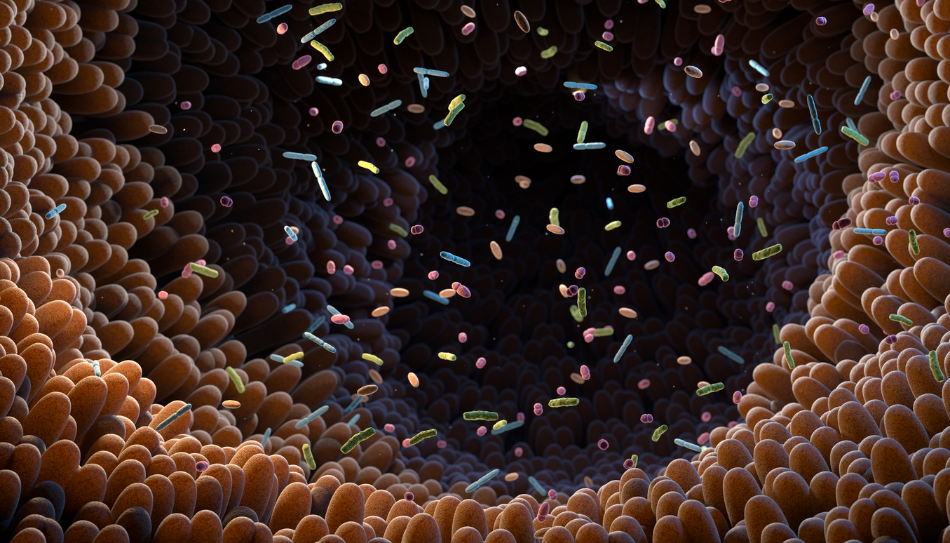 The Crucial Role of Microbes in Metabolic Health