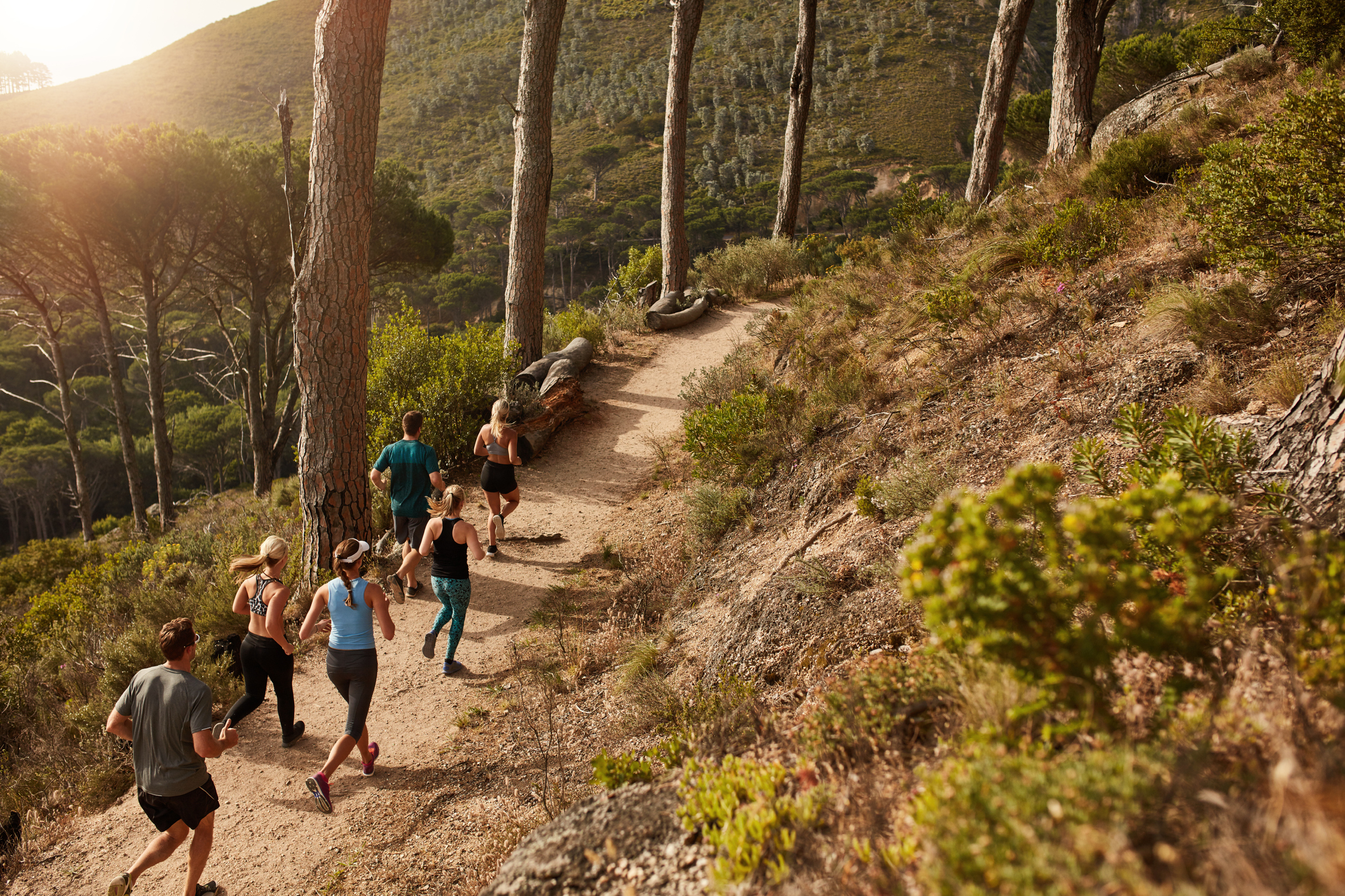 How Runners Stay Upright on Uneven Terrain; Group of people trail running on a mountain path
