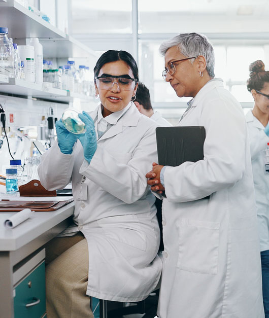 Researchers working in a laboratory