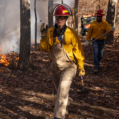 Fighting Disasters and Enhancing Resilience