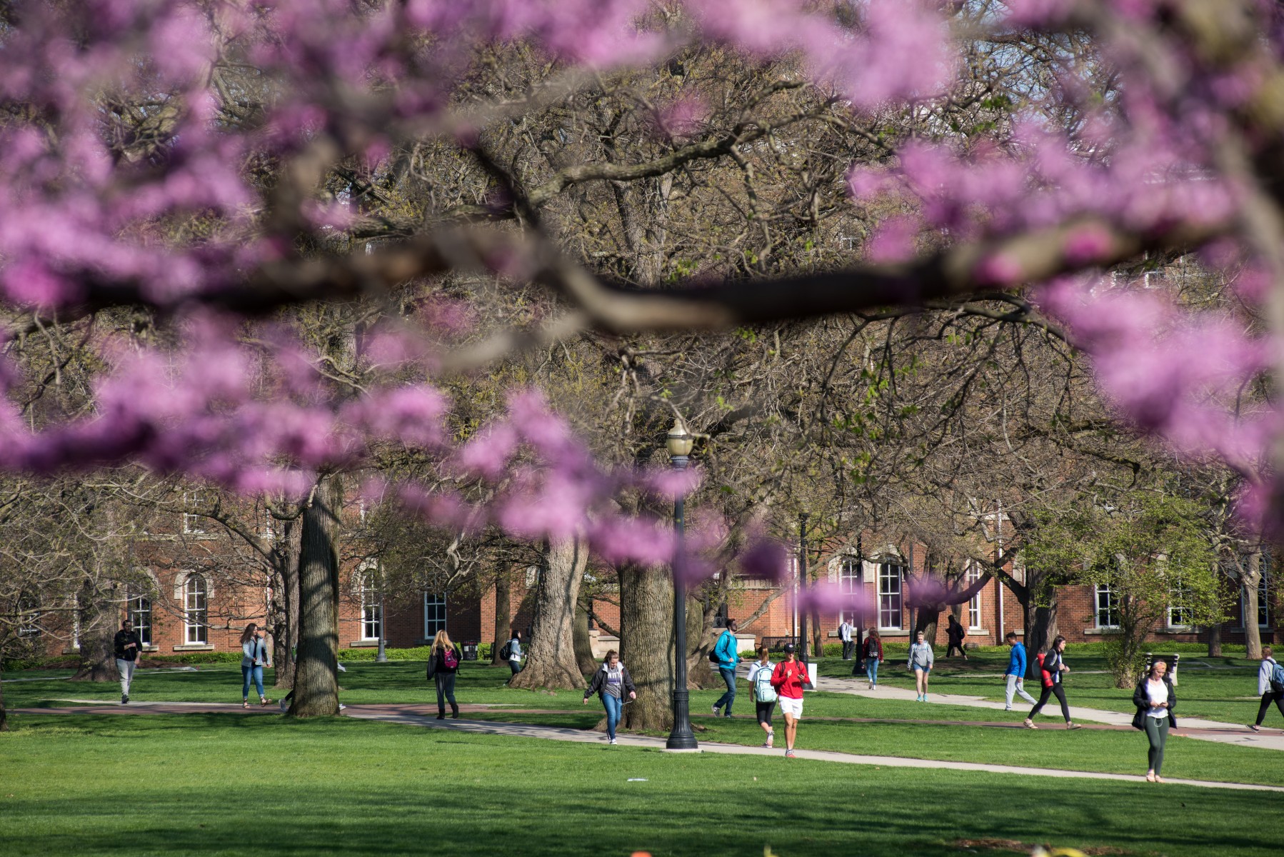 spring on campus