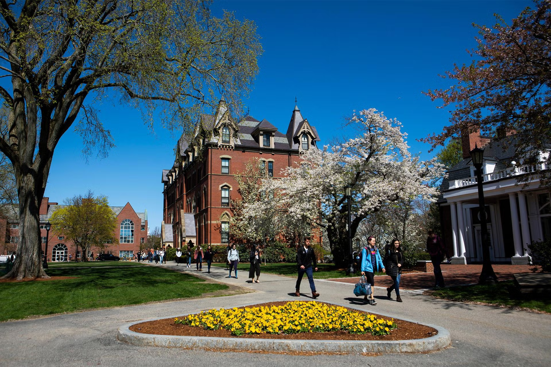 University campus during the springtime with students walking to and from class
