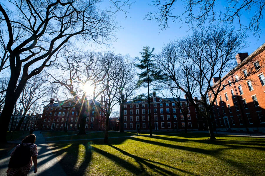 Harvard campus; brick buildings, grass, walking pathways, and trees.