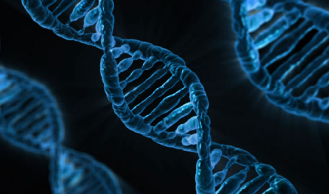 Why Male Immune Cells are from Mars and Female Cells are from Venus