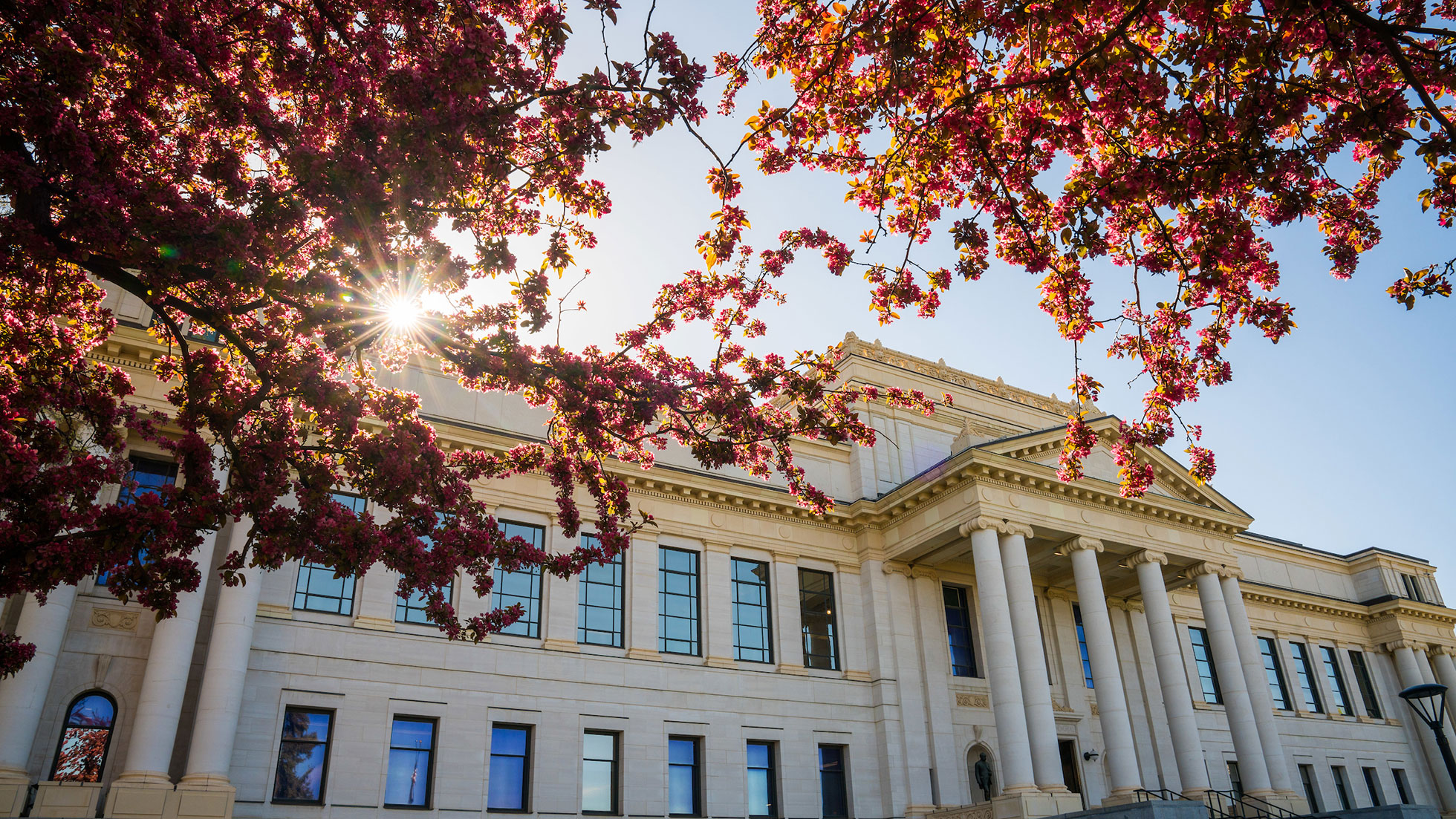 University building in the springtime next to blooming cherry trees