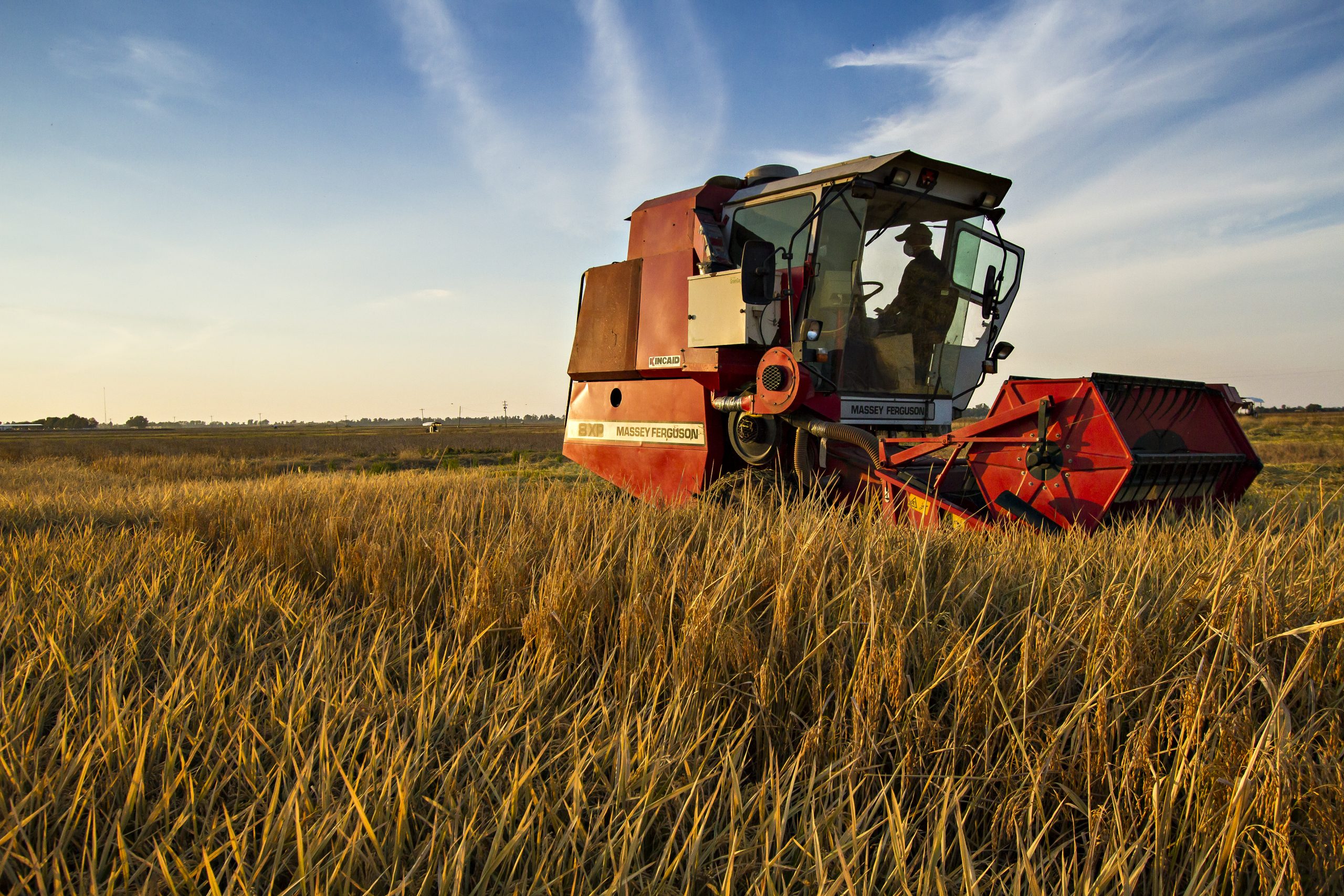 A harvester on a farm. MU is helping farmers adopt climate-smart practices