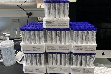 test tubes