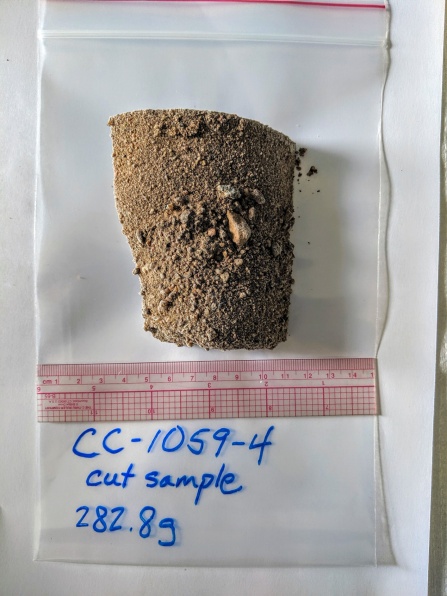 A sediment sample from the Camp Century core site.