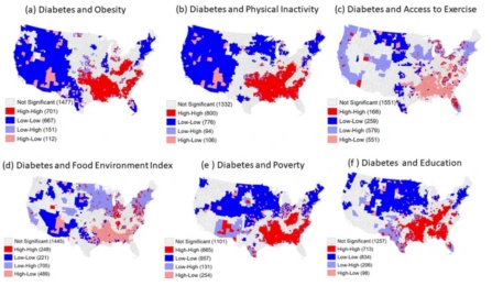 Type 2 Diabetes Cluster Map