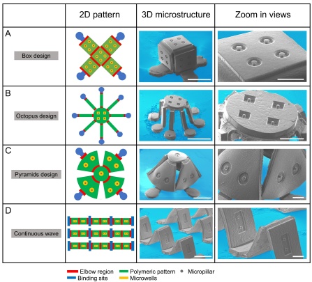The method is based upon compressive buckling – the structural engineering principle that explains why figures project outward from the pages of children’s pop-up books. Credit: University at Buffalo.