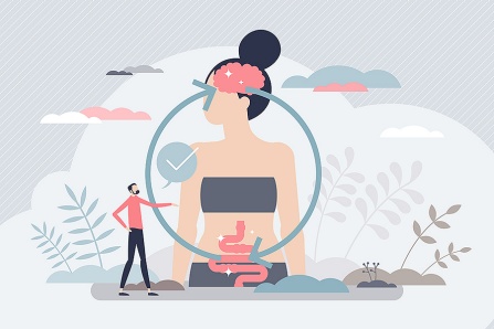 gut to brain illustration