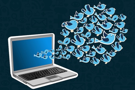 birds flocking from a computer screen, social media public opinion