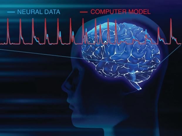 the brain processing visuals