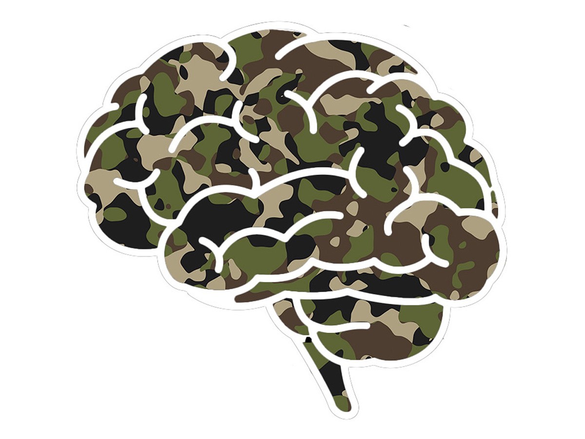 a brain in camoflage