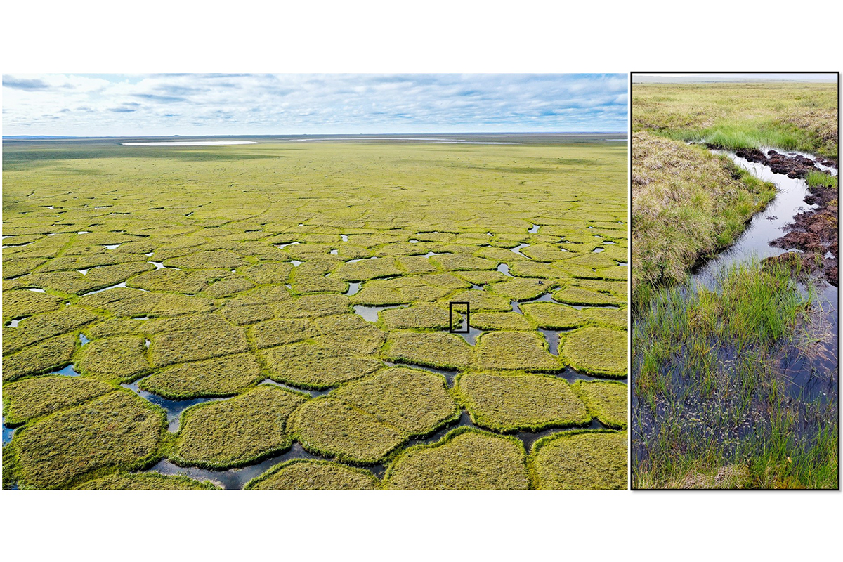 Permafrost degradation in northern Alaska. Photos by Christian Andresen, left, and Mark J. Lara