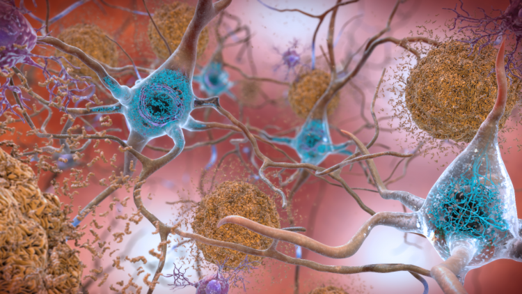tangled protein