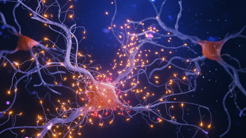 Study: Mutations in Hereditary Alzheimer’s Disease Damage Neurons Without ‘Usual Suspect’ Amyloid Plaques