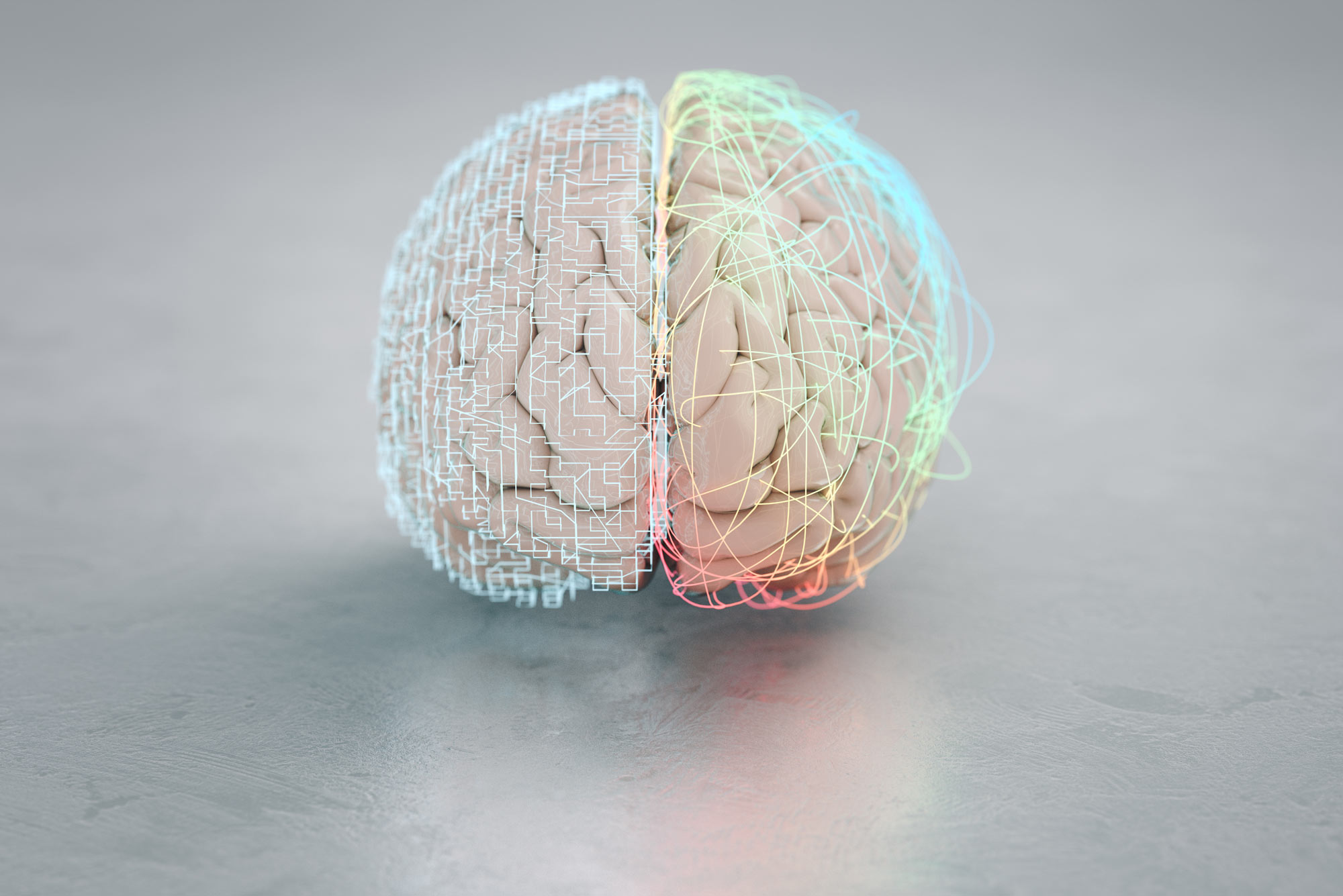 brain