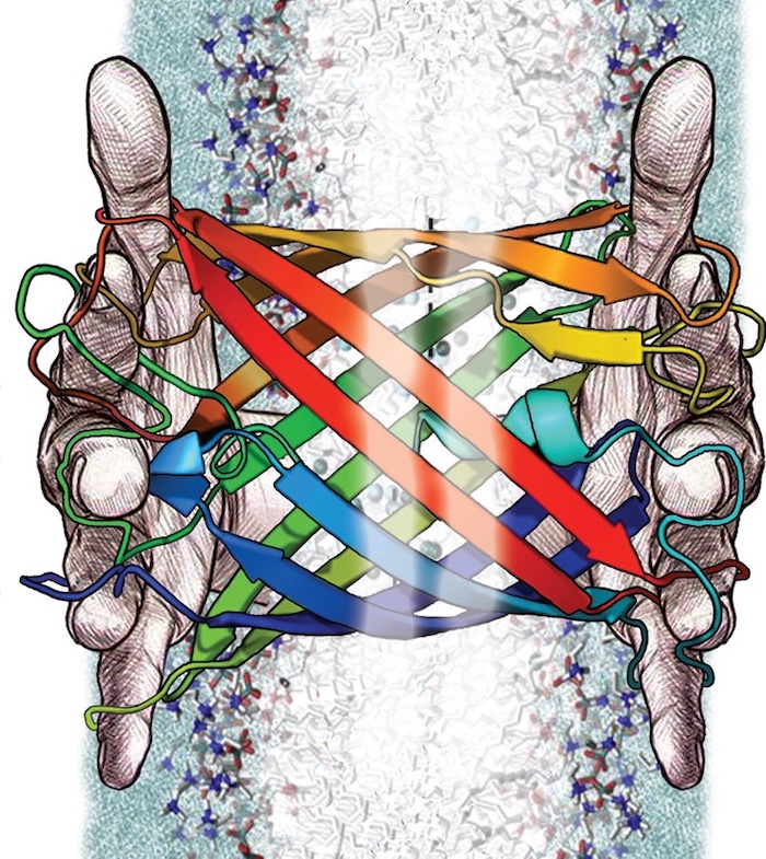 deep-fake membrane beta-barrel proteins created using machine learning like DALL-E