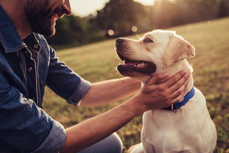 Man petting canine