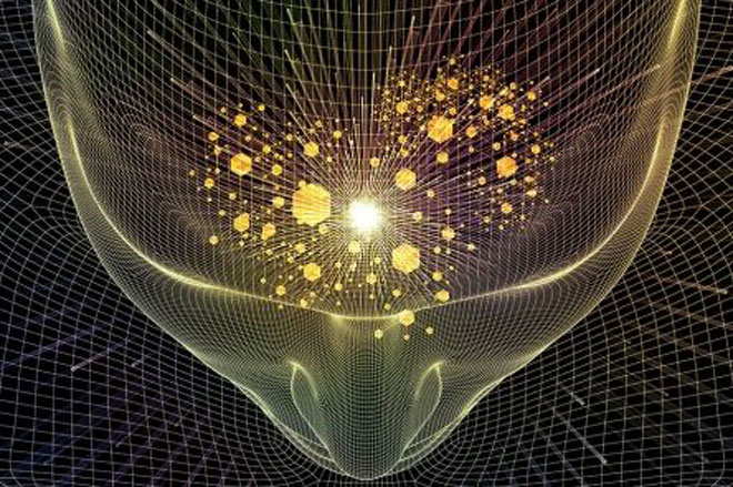 Image of brain