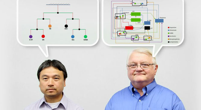Image: Zhen Qi from the Wallace H. Coulter Department of Biomedical Engineering at Georgia Tech and Emory University, and Eberhard O. Voit, a Georgia Tech biomedical engineer and a Georgia Research Alliance eminent scholar.