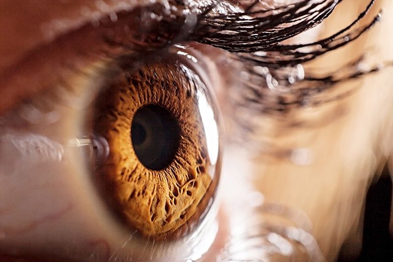 Image of a brown eye