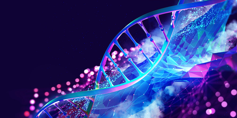 DNA