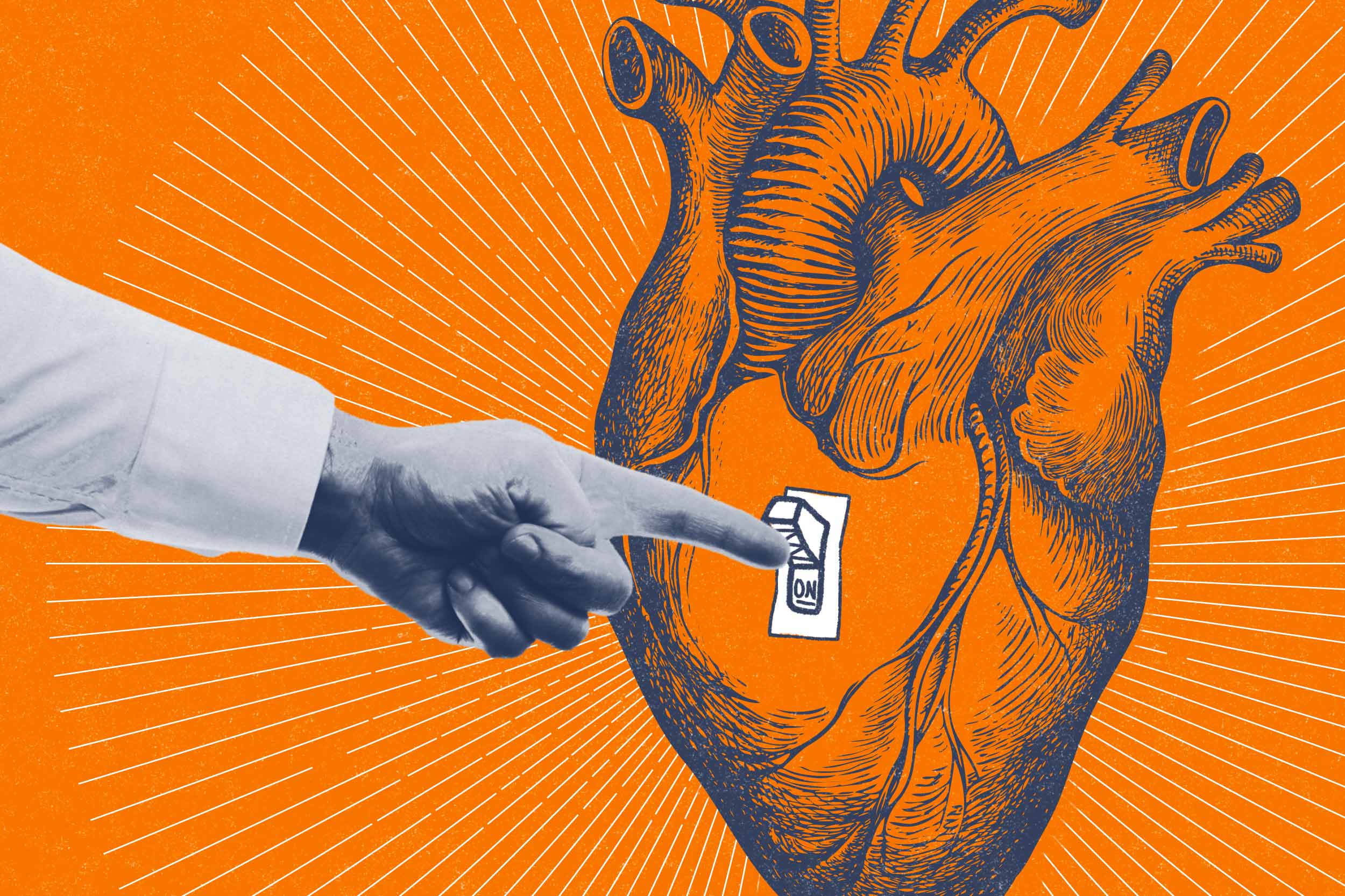 A crucial biological “switch” University of Virginia researchers discovered could lead to new medications to treat high blood pressure and vascular diseases. (Illustration by John DiJulio, University Communications)