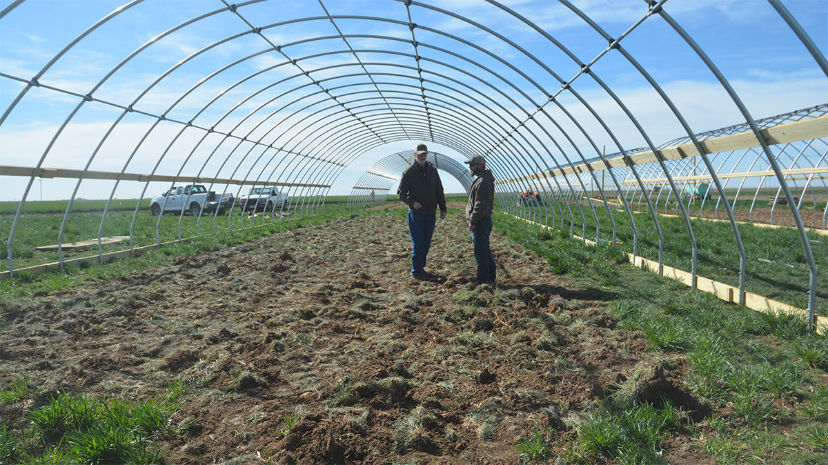 Texas A&M Water Use Farming