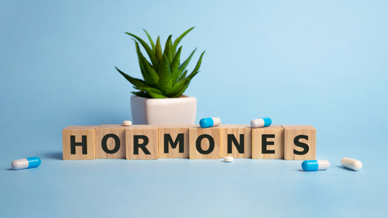 Hormones in blocks spelled out