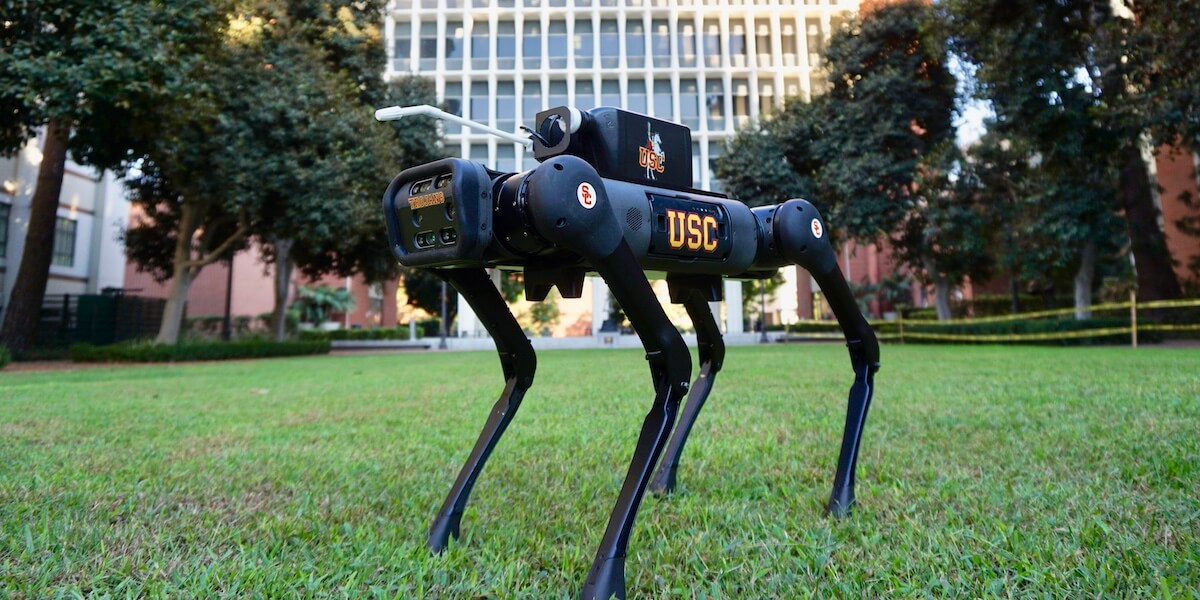 Laser-D