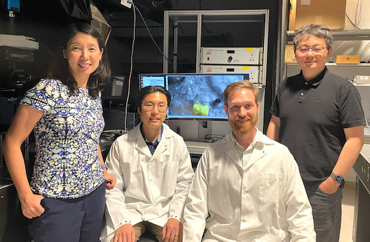 Team of researchers with the Rice Neuroengineering Initiative