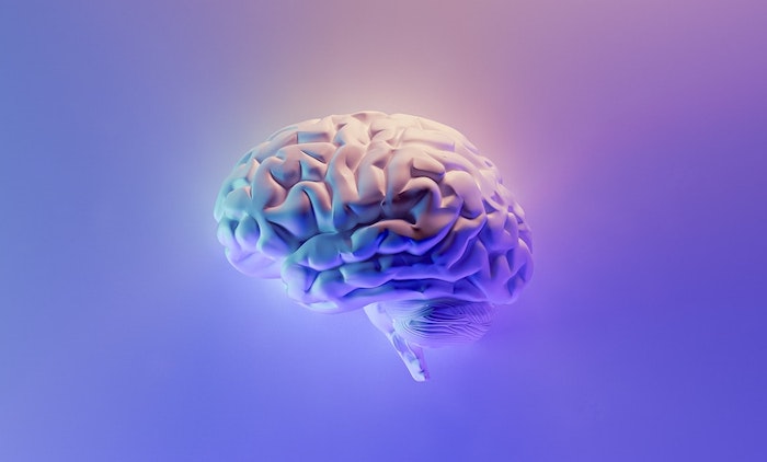 3d illustration of a brain, immunization against alzheimer's