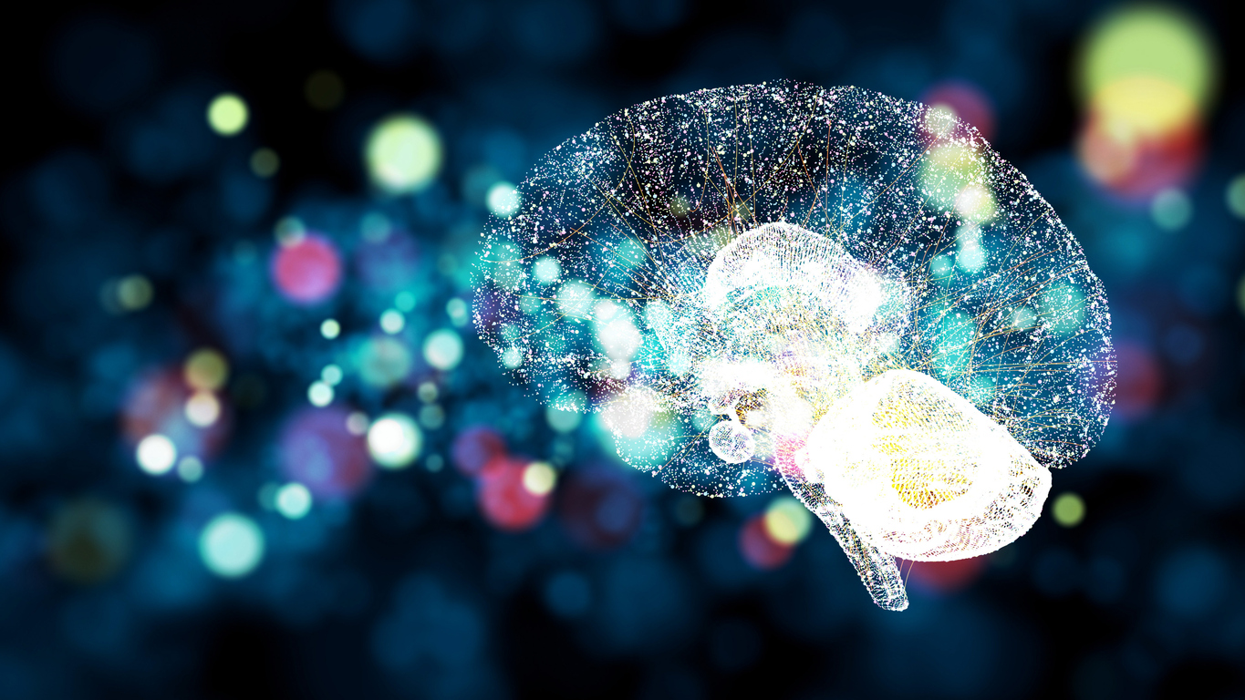 Image of a brain