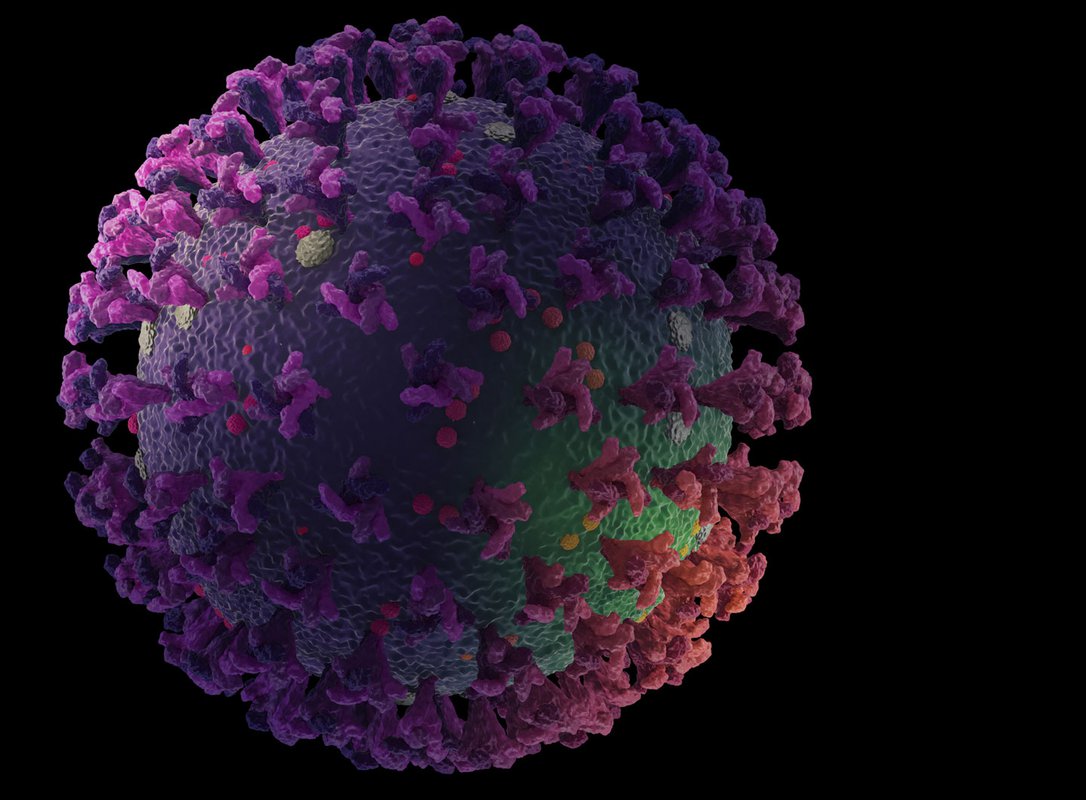 image of coronavirus