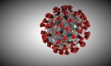 Illustration of the SARS-CoV-2 virus.