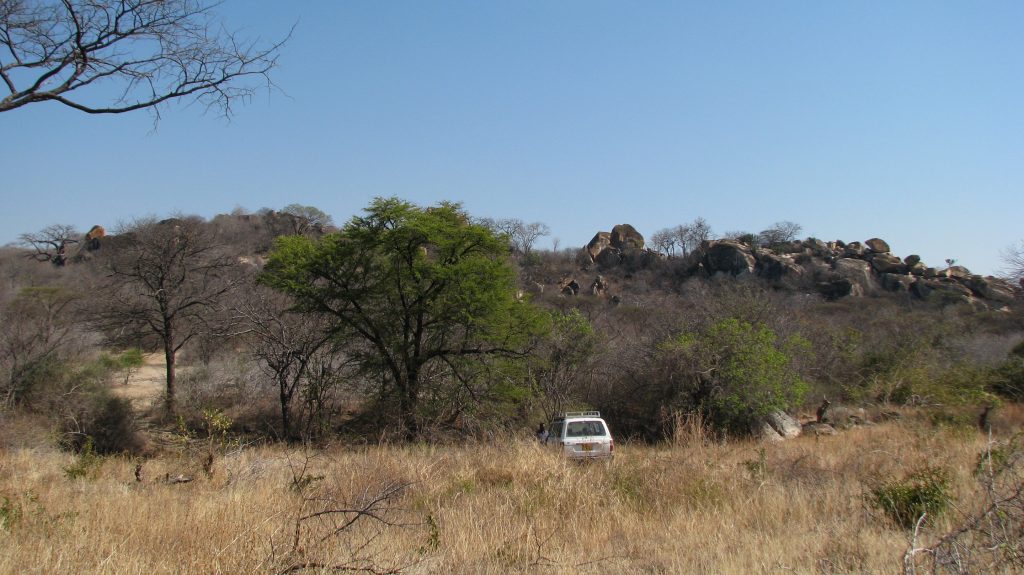 Ancient africans in Tanzania had their DNA sequenced, providing new insights
