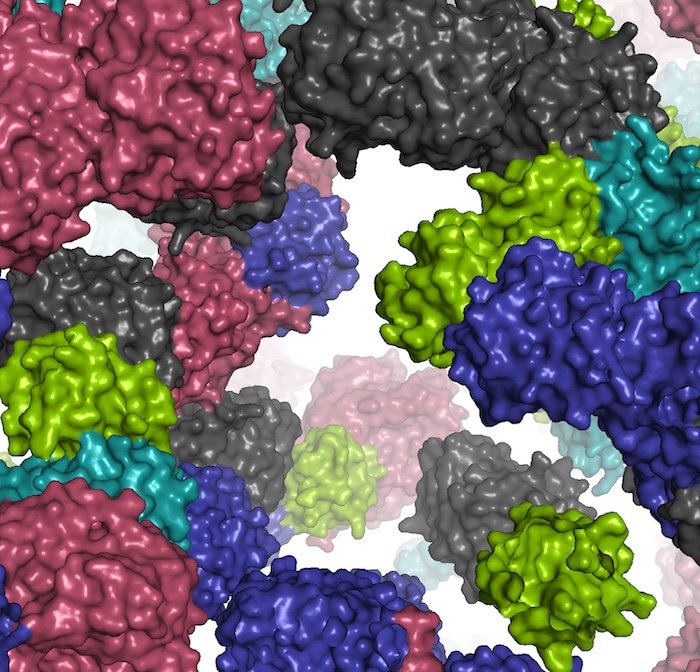 A fragment of the simulated cell environment.