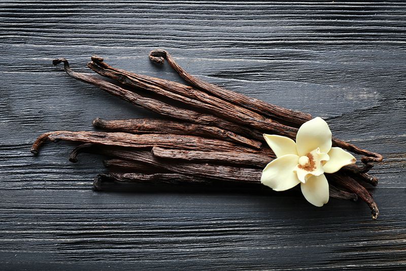 Vanilla plant