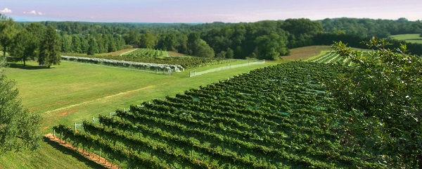 Agriculture