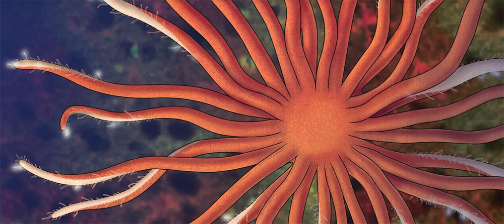atrocyte cells, another type of brain cells