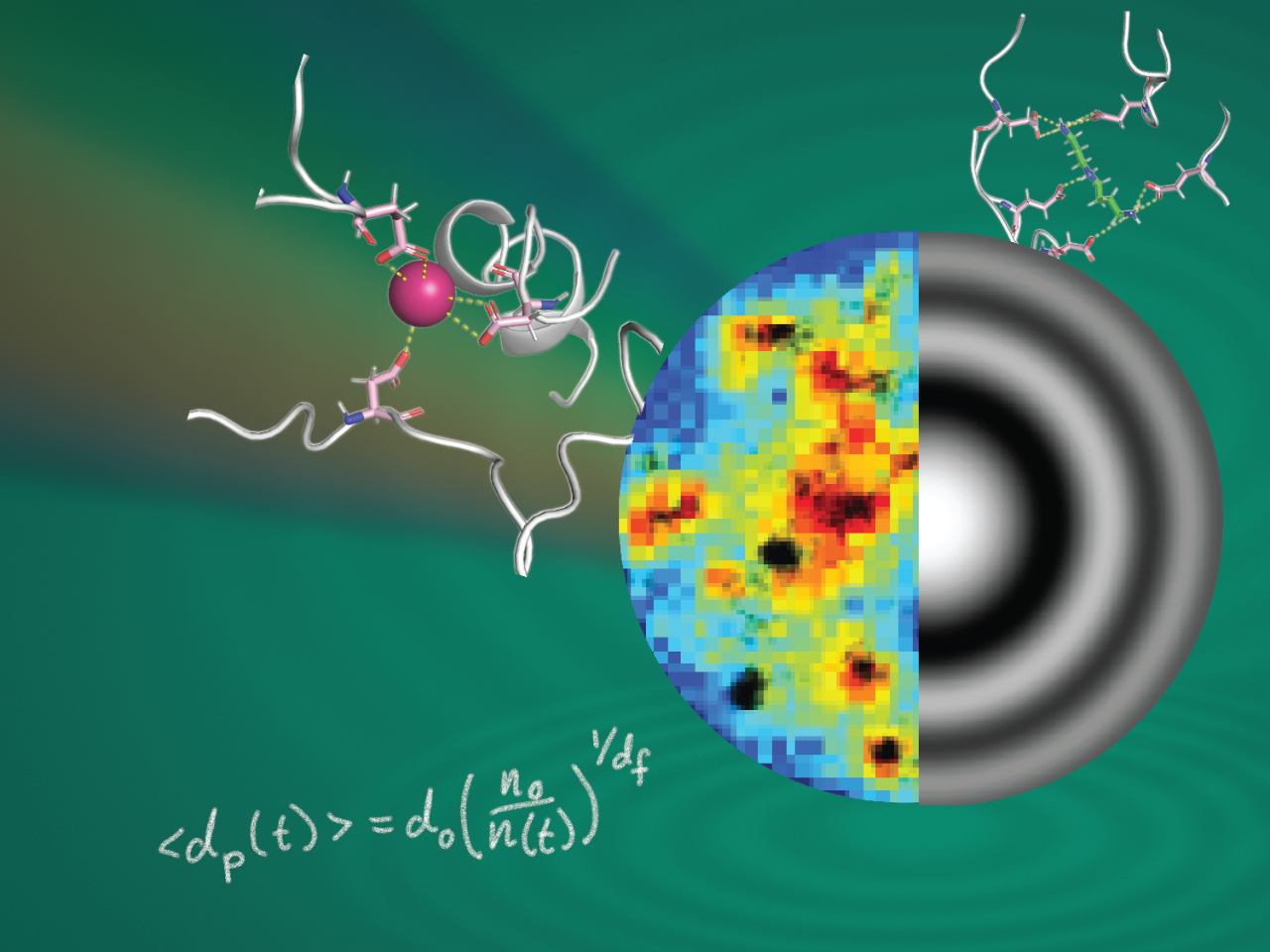 Super-resolution microscopy image of a cell's biomolecular condensate