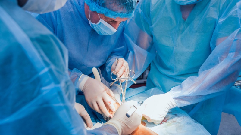 Bone Healing 