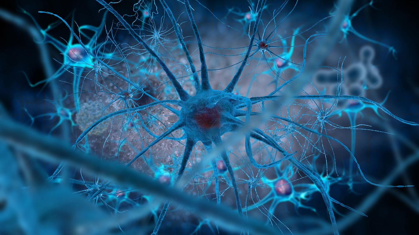 Cell Receptor, stem cell longevity