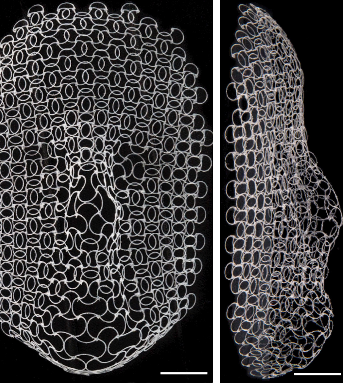 The outline of a 4D printed face