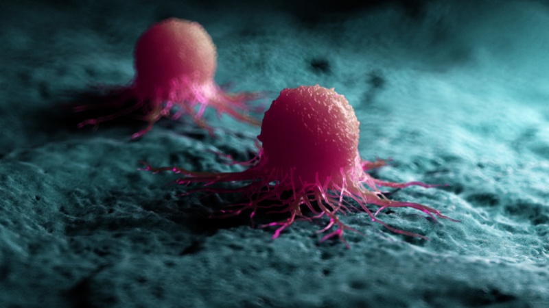 Cancer Cell