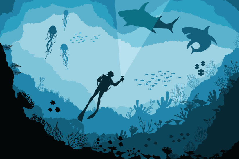 scuba diver looking at ocean